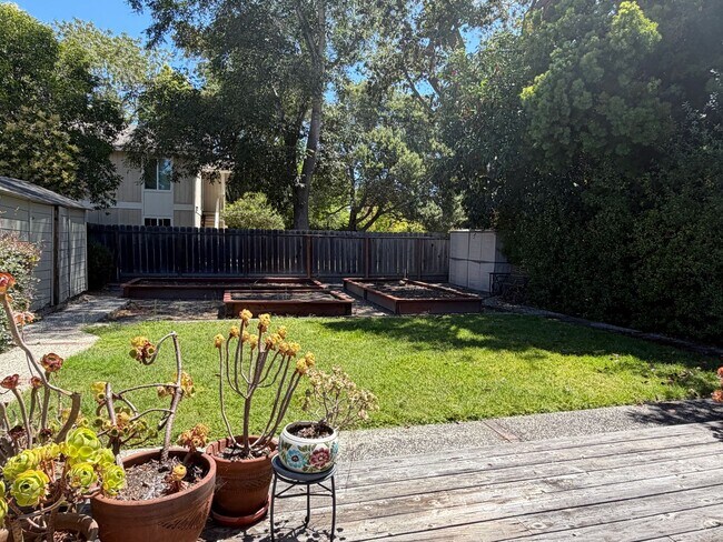 Building Photo - COMING SOON! Charming 2 Bedroom home with sunroom/office & spacious yard
