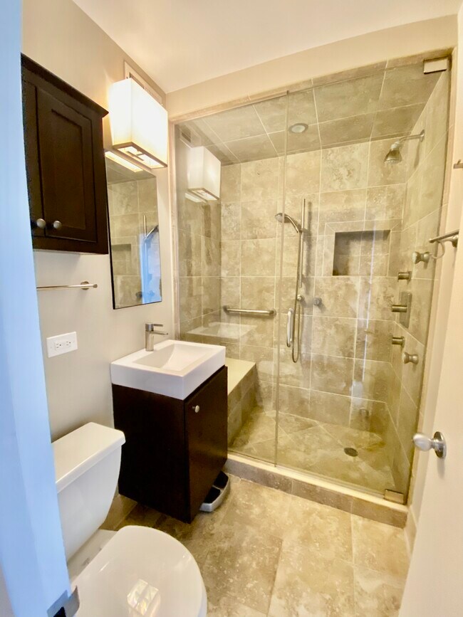 Second bath steam shower, bench, multiple heads ensuite and hall entry - 1000 N Lake Shore Dr