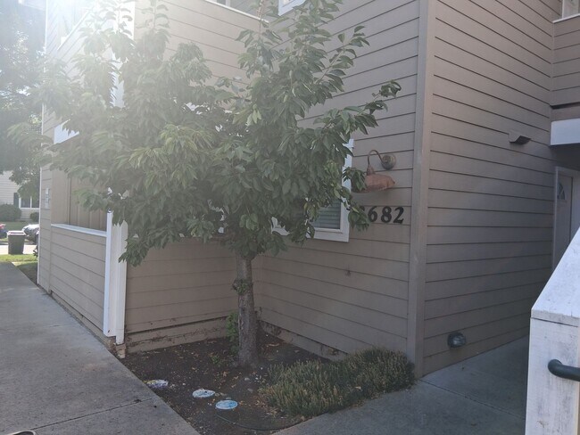 Building Photo - Comfortable 2-Bedroom Apartment in Desirab...
