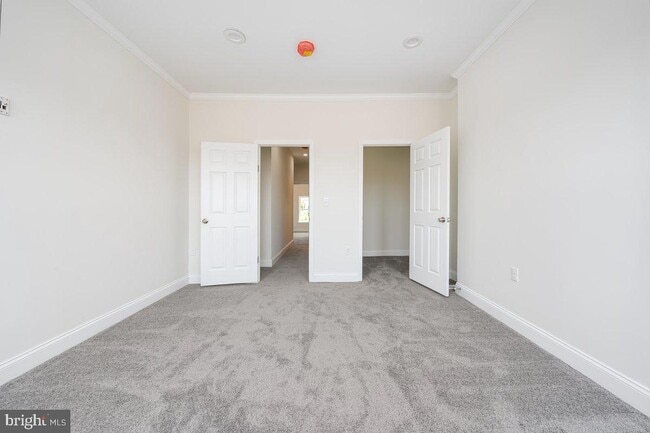 Building Photo - 71 Dolphin St