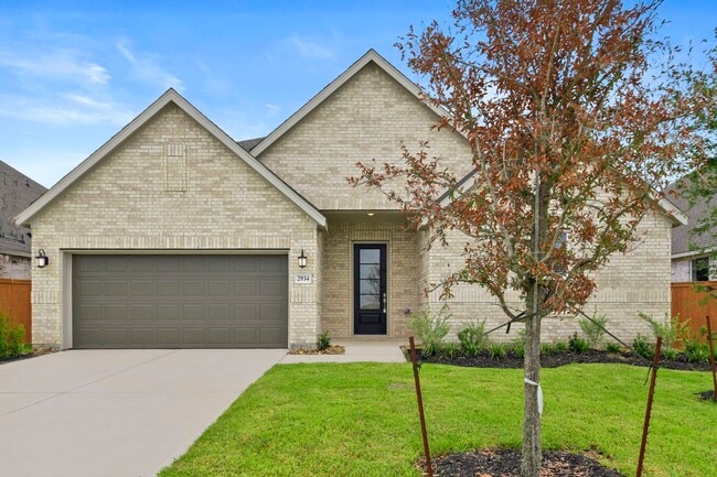 Building Photo - 2934 Palm Branch Dr