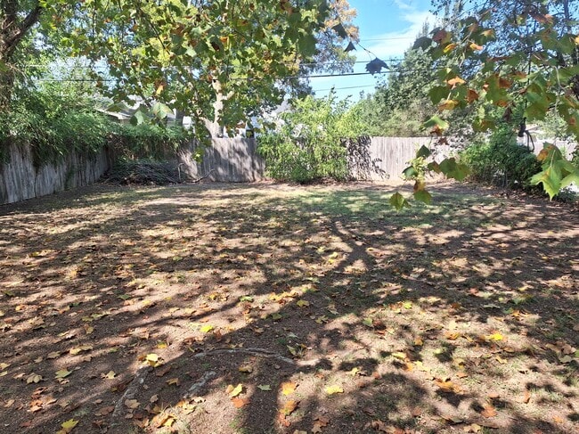 Backyard - 401 S Vassar St