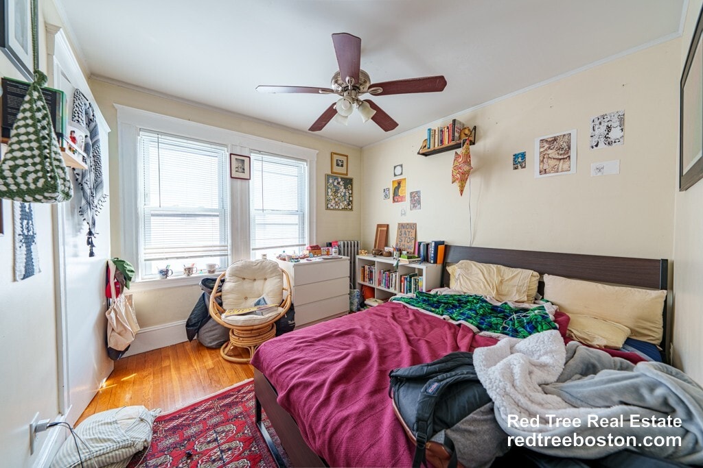 Building Photo - 8 Niles St