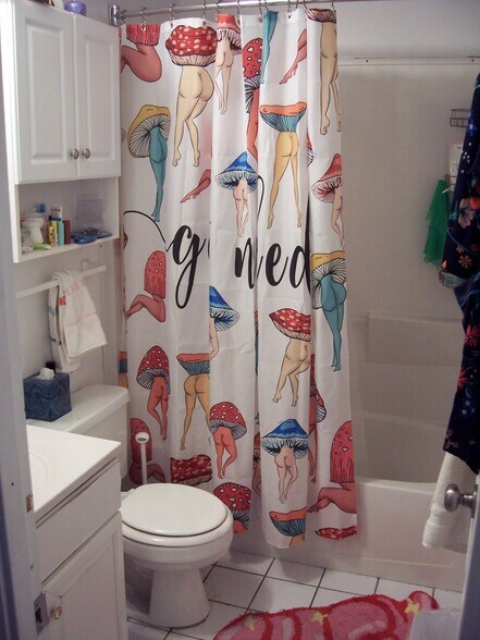 Large bath - 1648 W Barry Ave