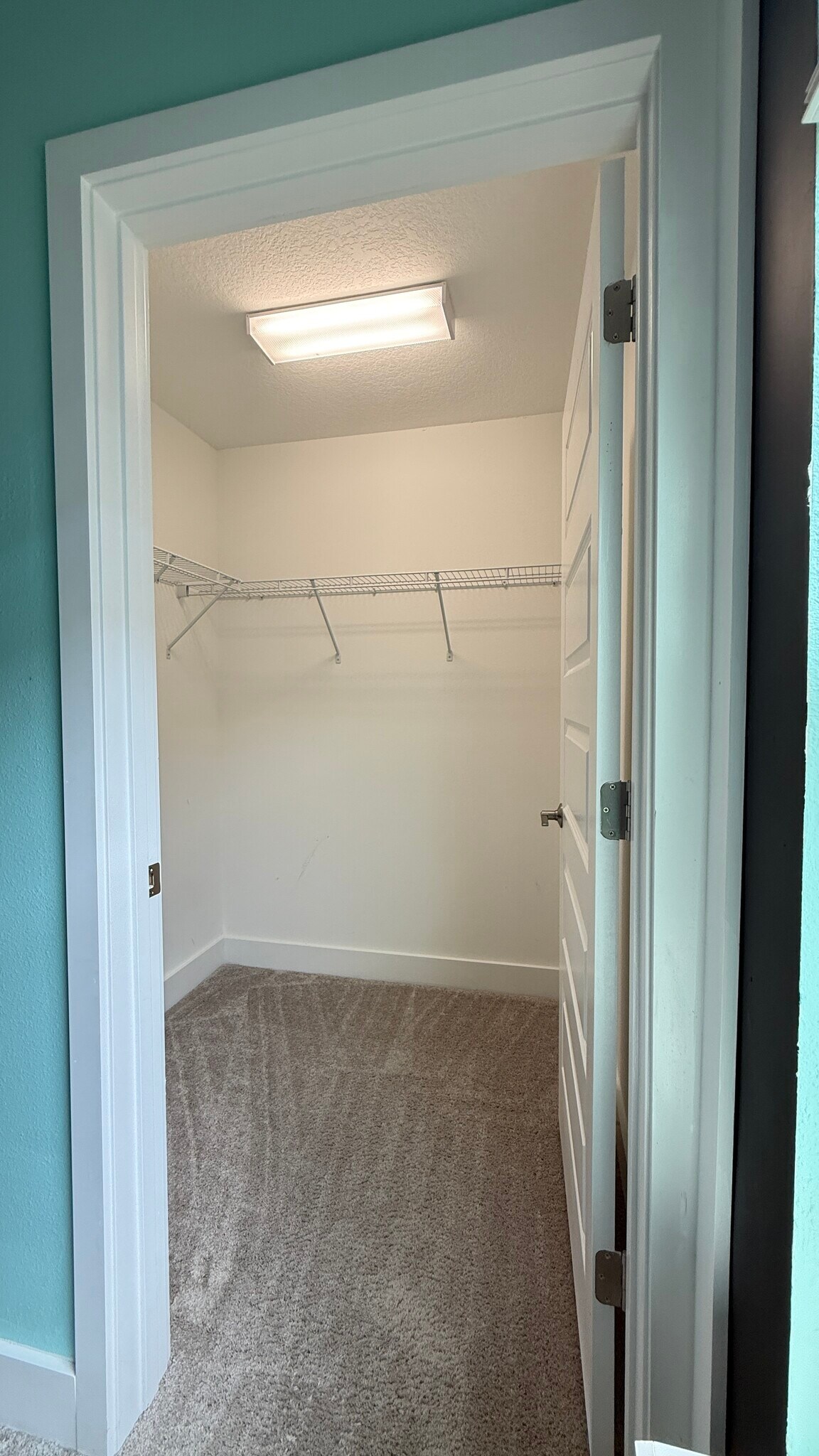 Building Photo - 4263 Cadence Loop