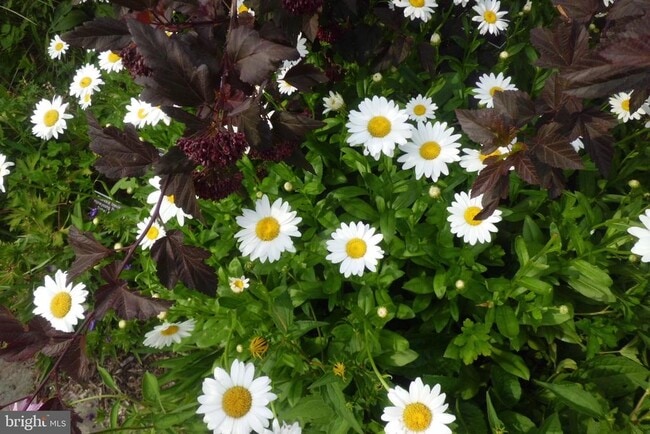 Building Photo - 3808 Delano St