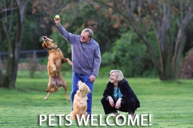 Building Photo - VIDEOTOUR: Across from Joannes Park and Aquatic Center! PETS WELCOME