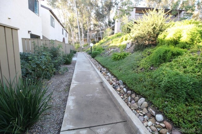 Building Photo - 10332 Caminito Aralia