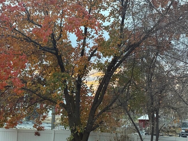 Building Photo - 212 E 900 N St