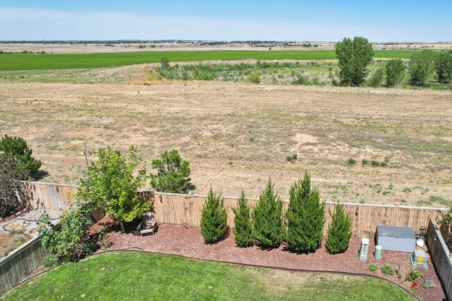 Building Photo - "Spacious 4-Bedroom Retreat with 2.5 Baths in Reunion!"