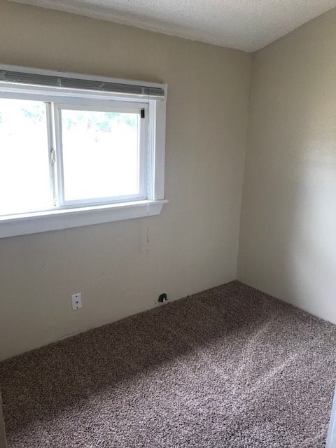 Building Photo - 3 Bdrm, 1 Bath Plus Bonus Room! Heart of Yelm! Fully Fenced Yard!