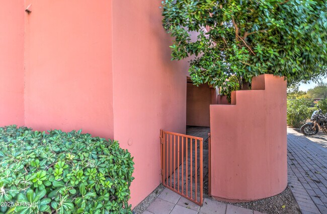Building Photo - 4303 E Cactus Rd