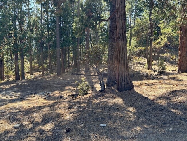 Building Photo - 26455 Delano Dr