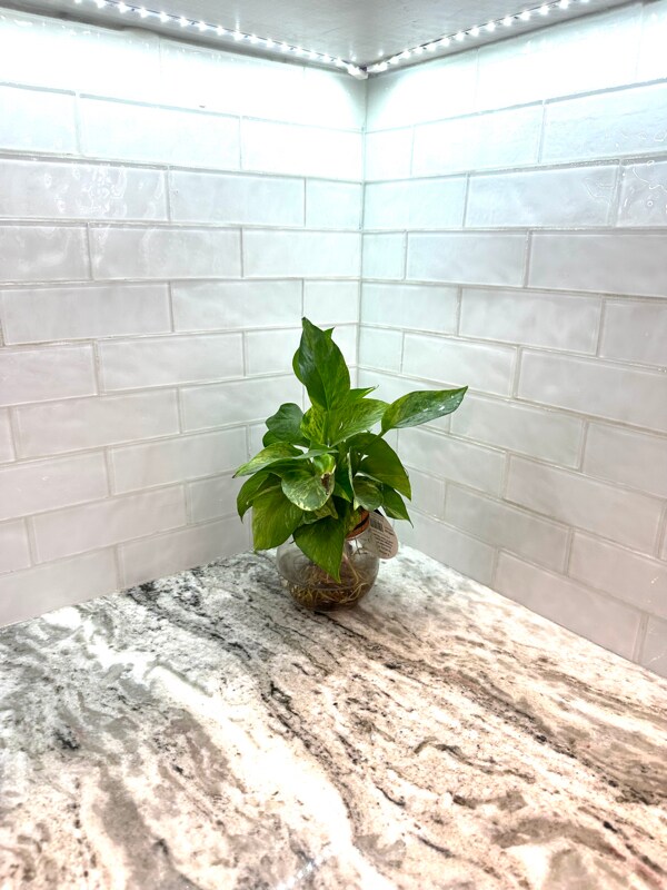 Building Photo - 2168 Plainfield Ave