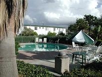 Pool - Orange Tree Apartments
