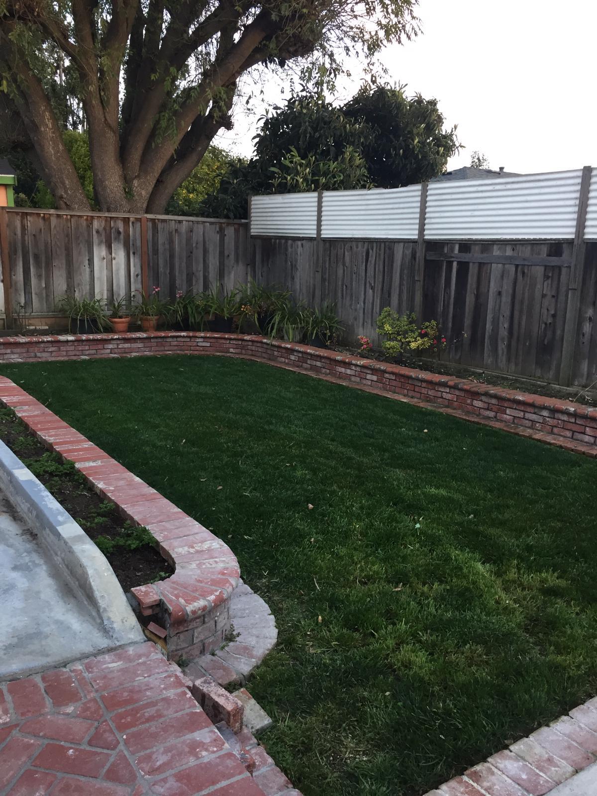 Backyard - 37449 Rockwood Dr