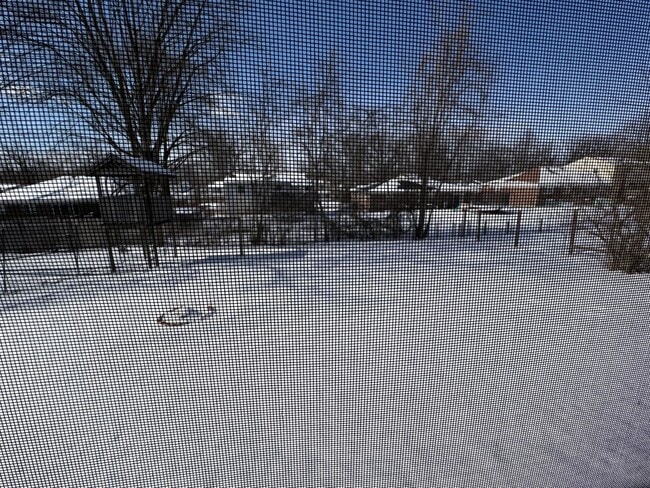 Building Photo - 5508 Meckes Ln