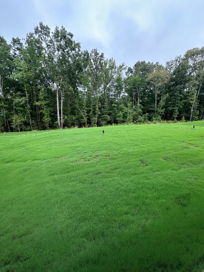Building Photo - NEW Stonebridge Golf Course Views - Move-I...