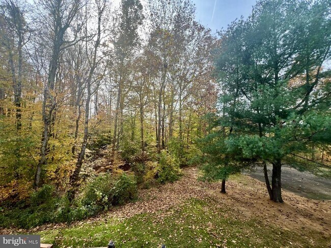 Building Photo - 11570 Hill Meade Ln