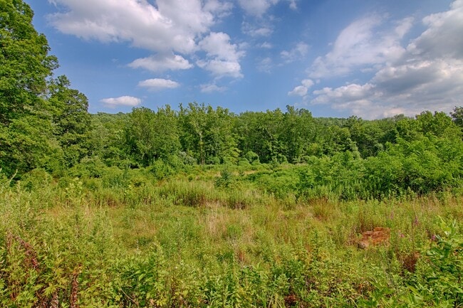 Building Photo - 496 Mine Brk Rd