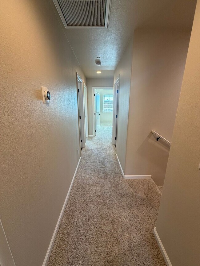Building Photo - 1194 Velarde Cir