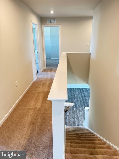 Building Photo - 488 Switchgrass Ct