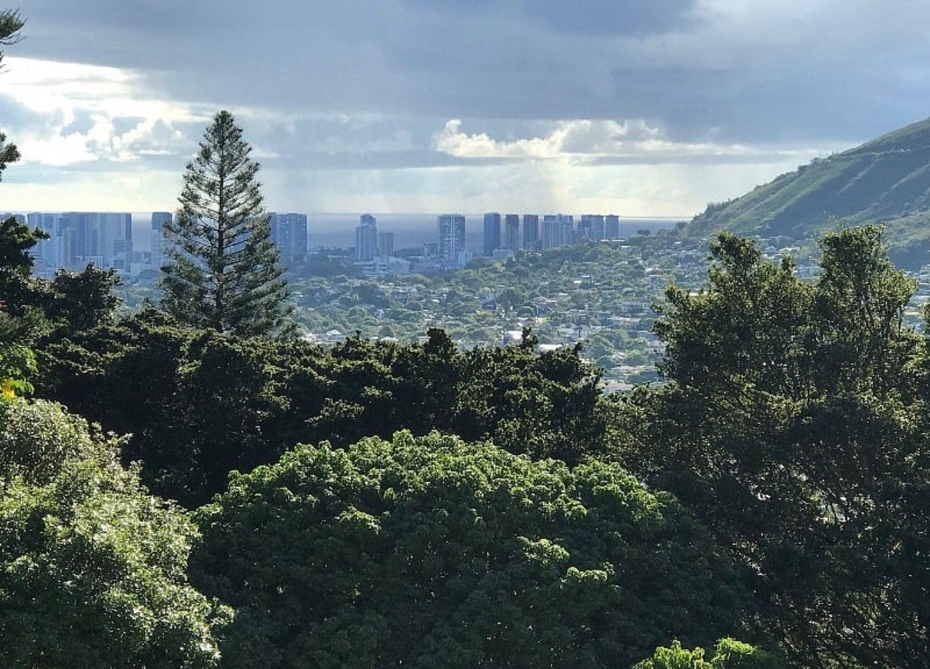 Building Photo - 3321 Anoai Pl