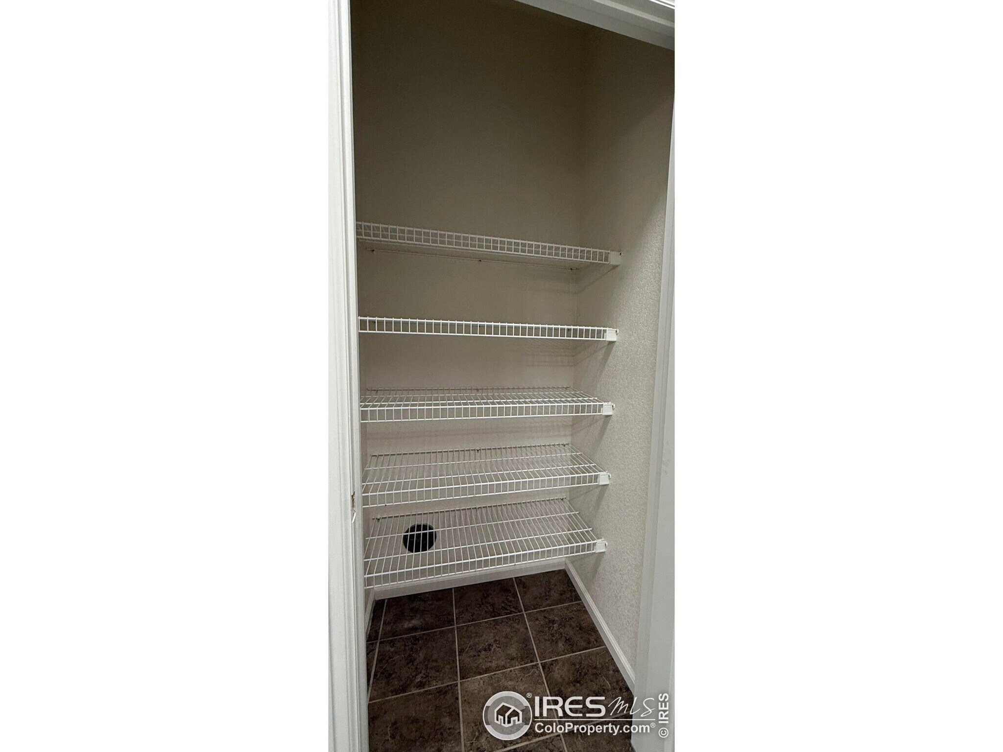 Building Photo - 3155 Blue Sky Cir