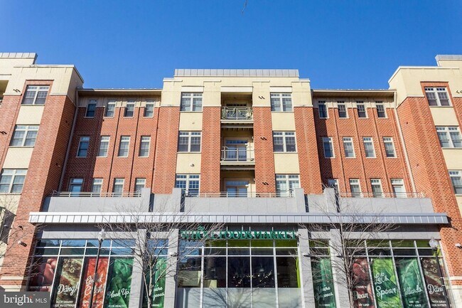 Building Photo - 1115 Cameron St
