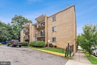 Building Photo - Beautiful hardwood floors and new appliances!