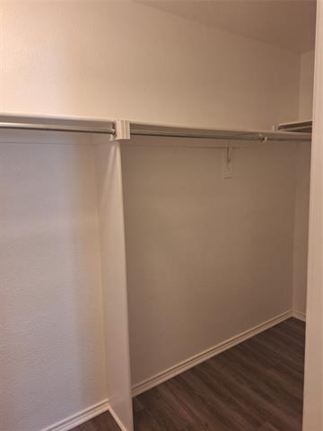 Building Photo - 3256 Torio