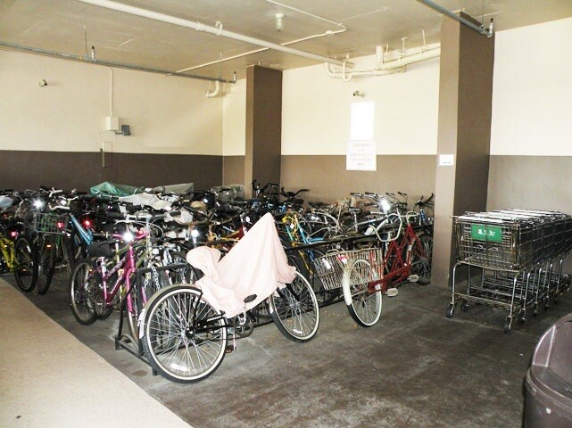 Bike Storage - 255 Dolphin Pt