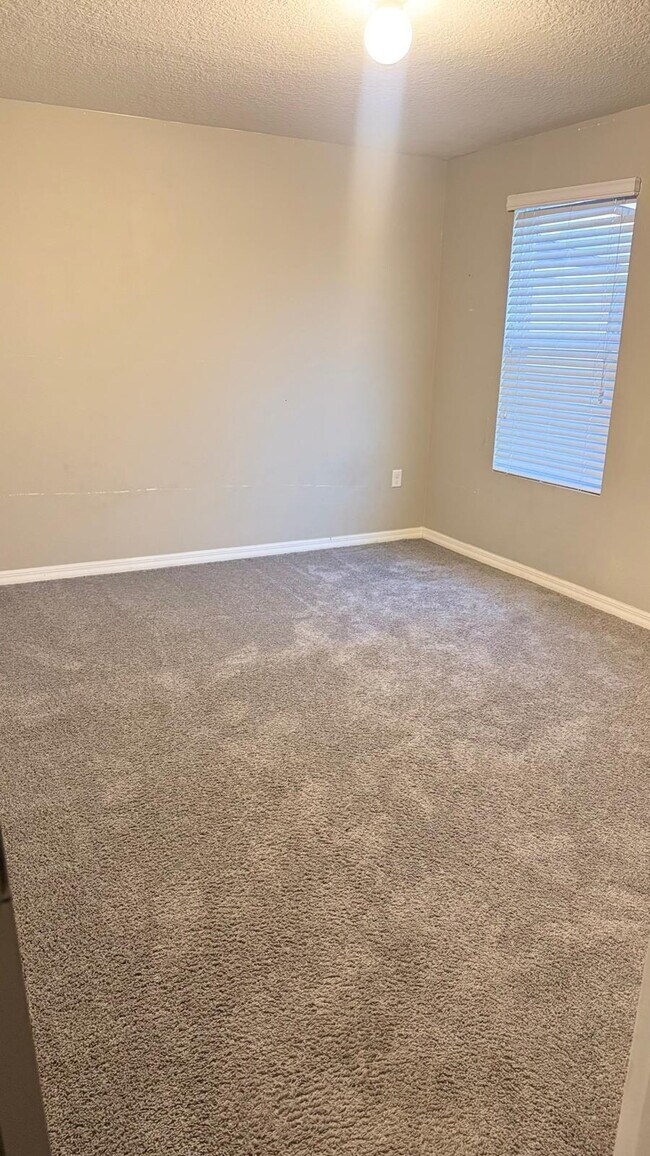 Building Photo - 505 Arbequina Ct