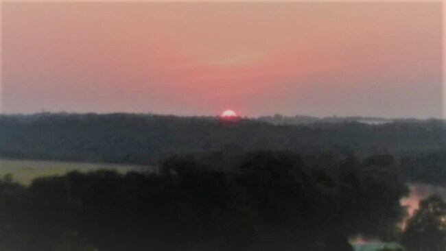 Sunset - 511 Wilcox St