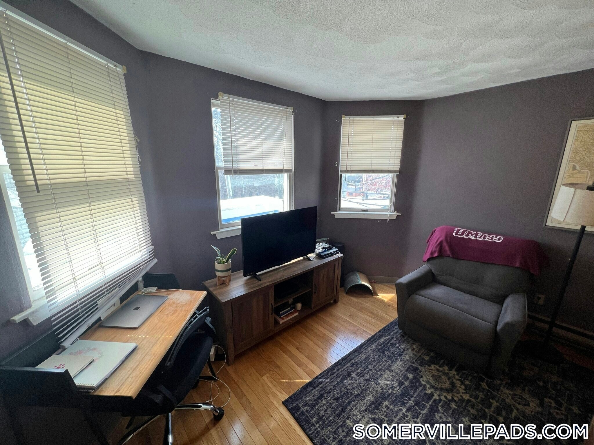 Building Photo - 217 Holland St