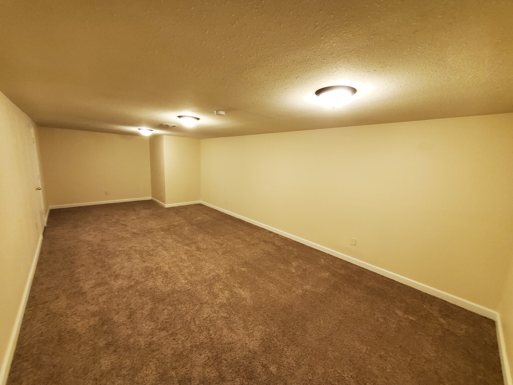 Downstairs - 10610 Johnson Cir