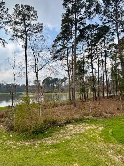 Building Photo - 14910 Slough View Ct