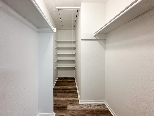 Building Photo - 11009 Panicum Ct