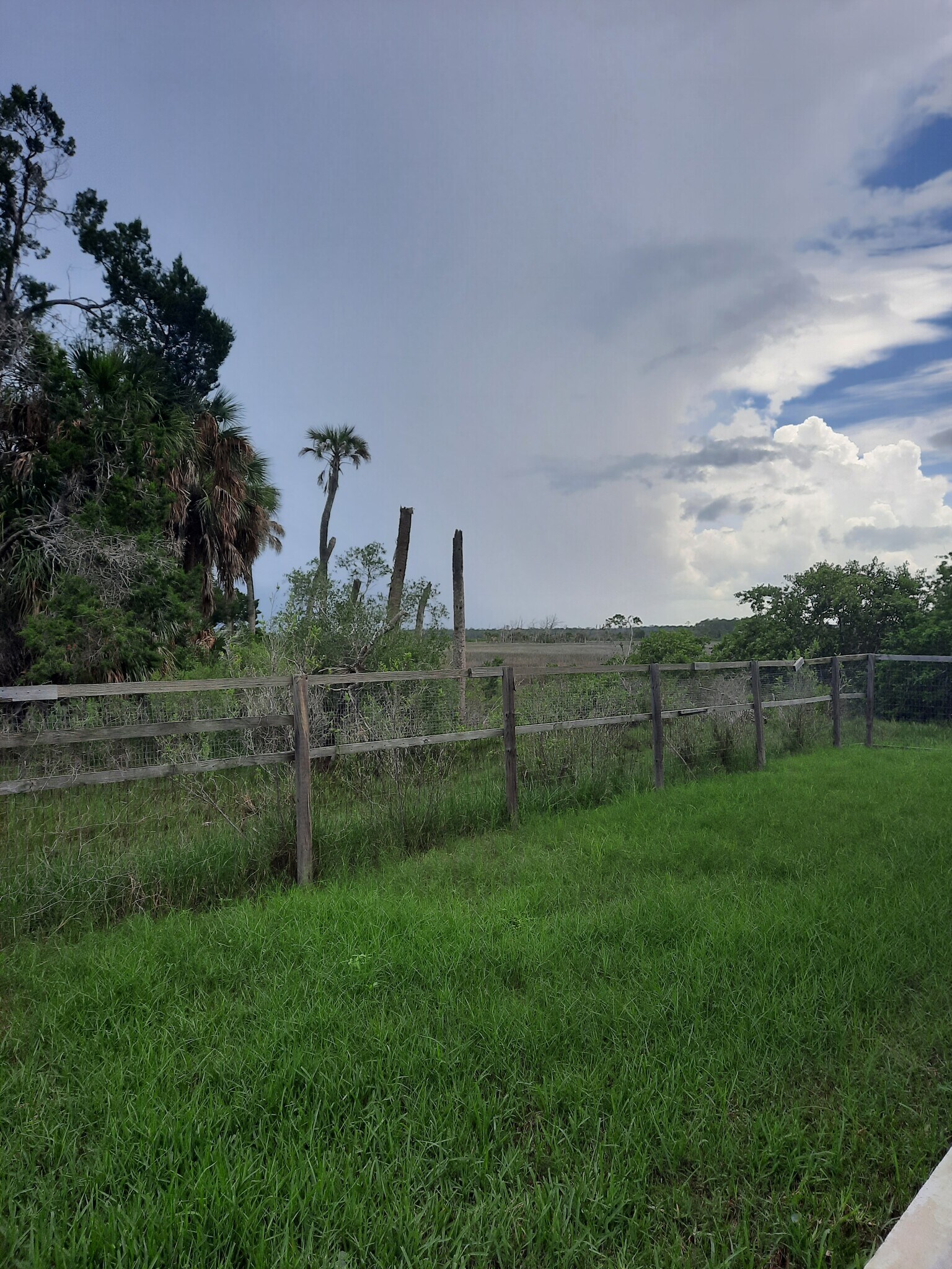 Building Photo - 3605 Eagle Nest Dr