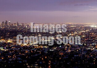 Building Photo - 6743 Whitsett Avenue