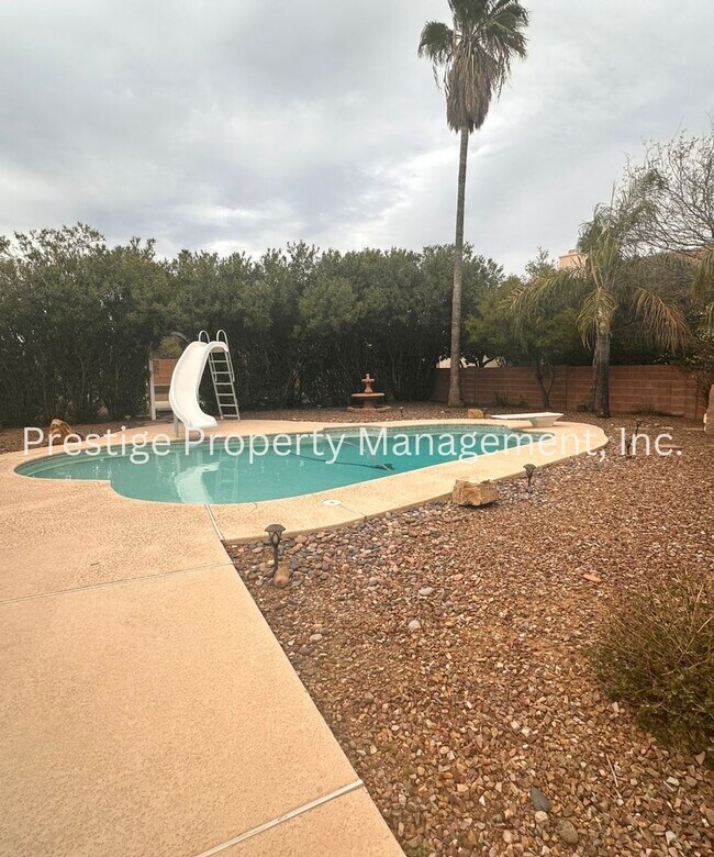Building Photo - Beautiful 4bd 2ba Home in Oro Valley!!!