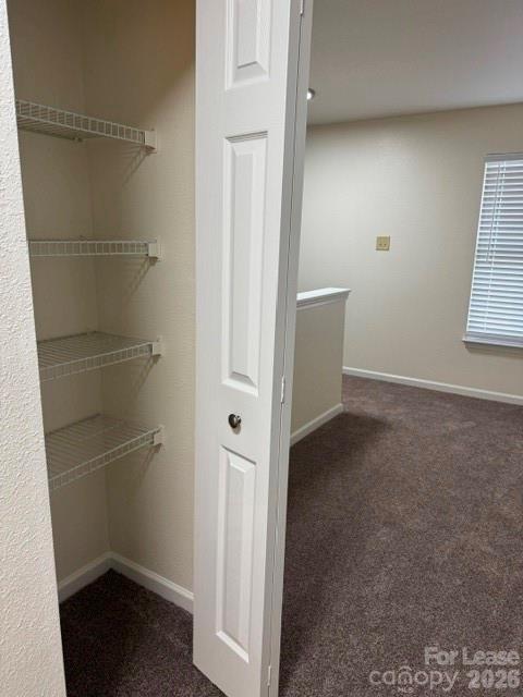 Building Photo - 8428 Panglemont Drive