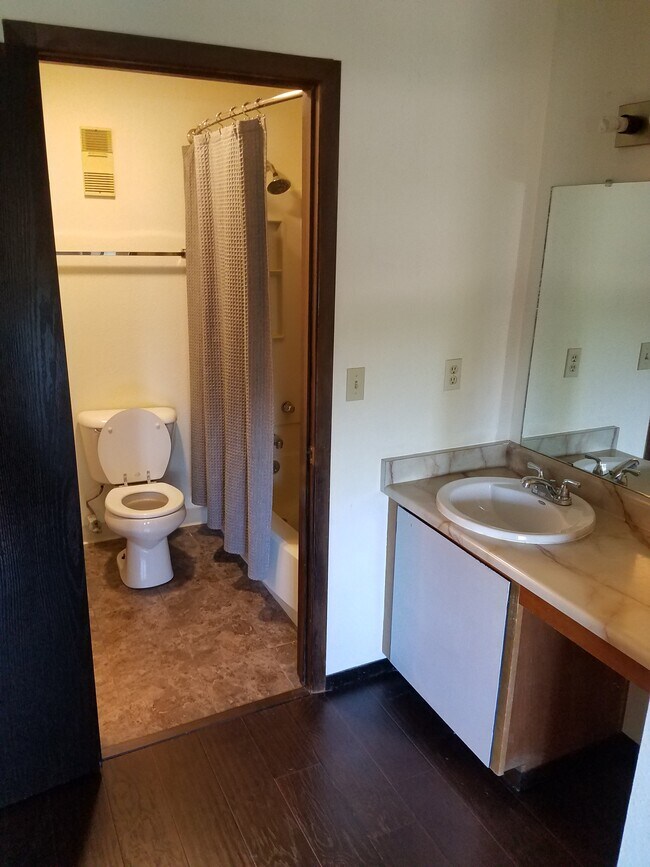 MBR Vanity & bath access - 710 City Park Ave