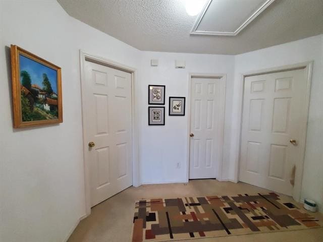 Building Photo - 3410 Clydesdale Dr