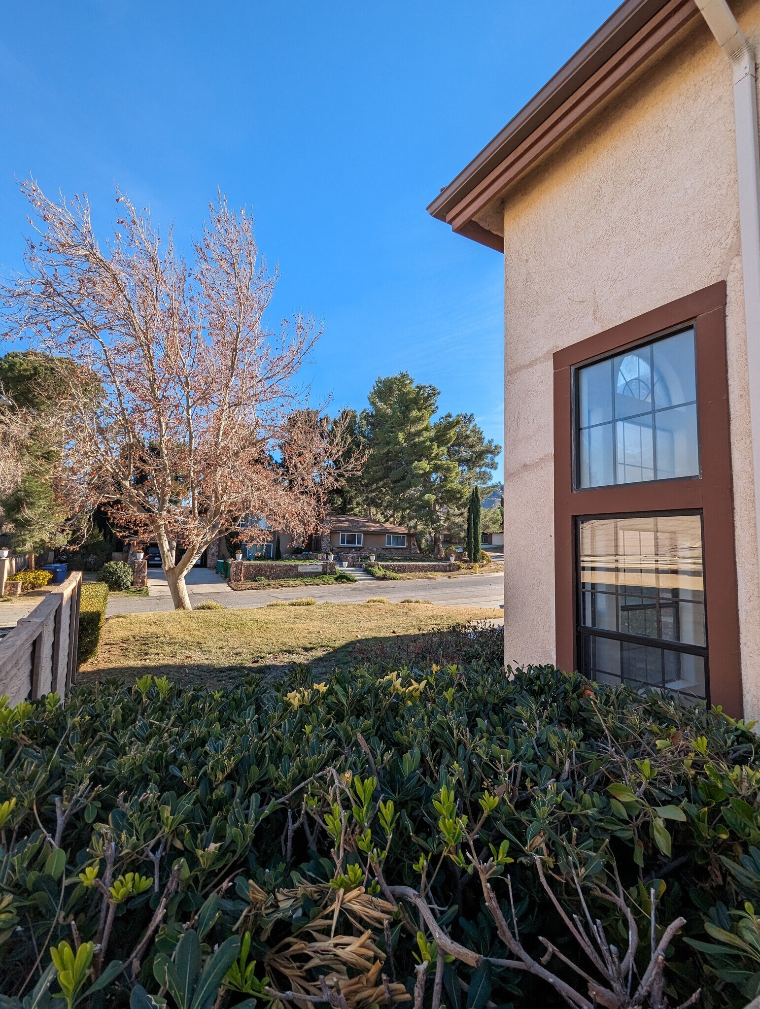 Building Photo - 42057 Parkmont Dr