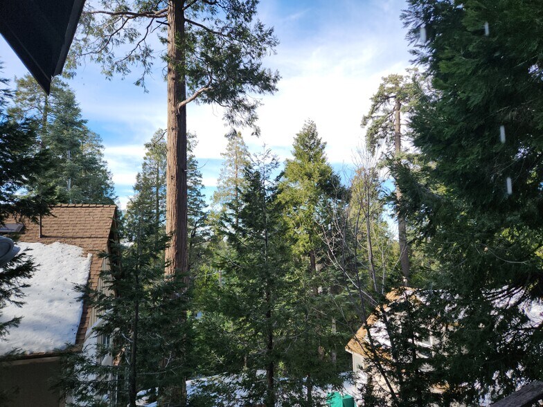 Building Photo - 865 Bear Springs Rd