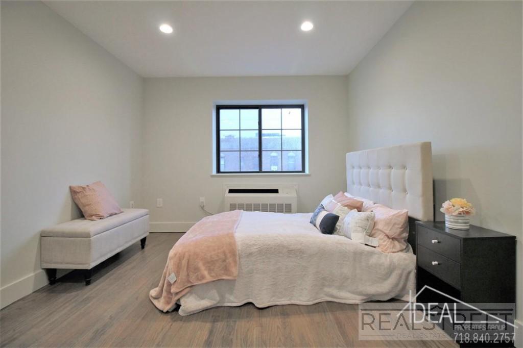 Building Photo - NEW 2 BR in Prospect Lefferts Gardens!