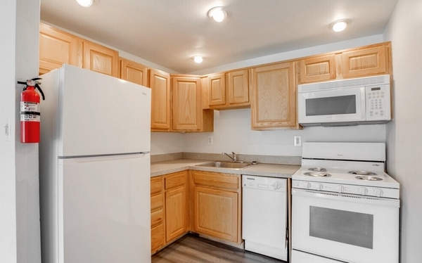 Kitchen-Renovated (1BR,1BA 600 SF) - New Orleans Park Apartments