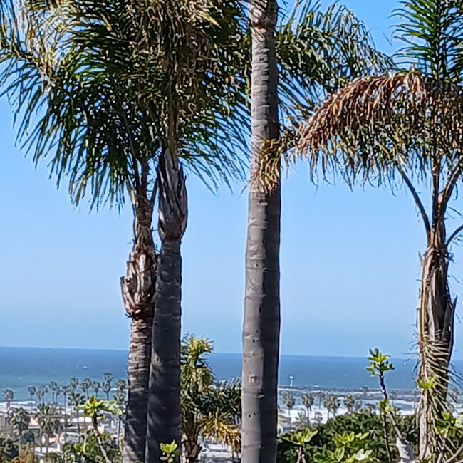 Building Photo - Ocean Beach detached Home w Yard