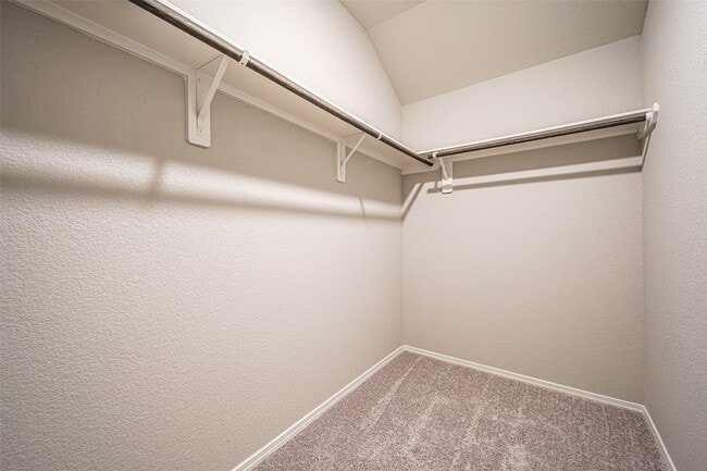 Building Photo - 1903 Brushy Cedar Ct